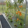 Zahradní skleník z polykarbonátu Covertec Standard